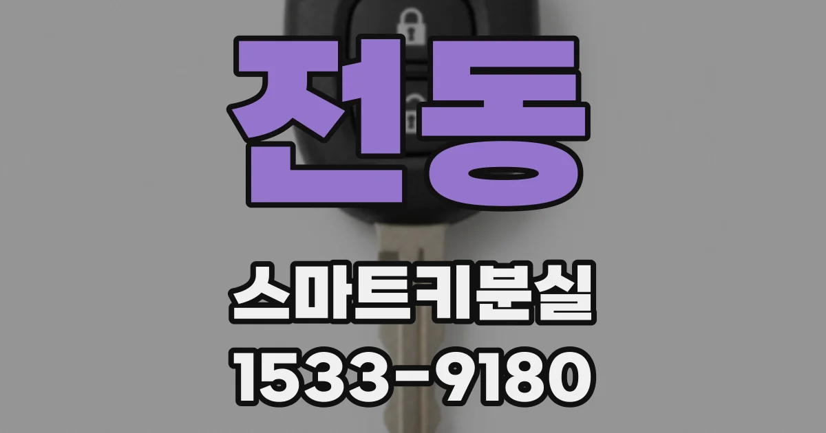 전동 스마트키분실