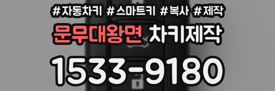 문무대왕면 차키제작