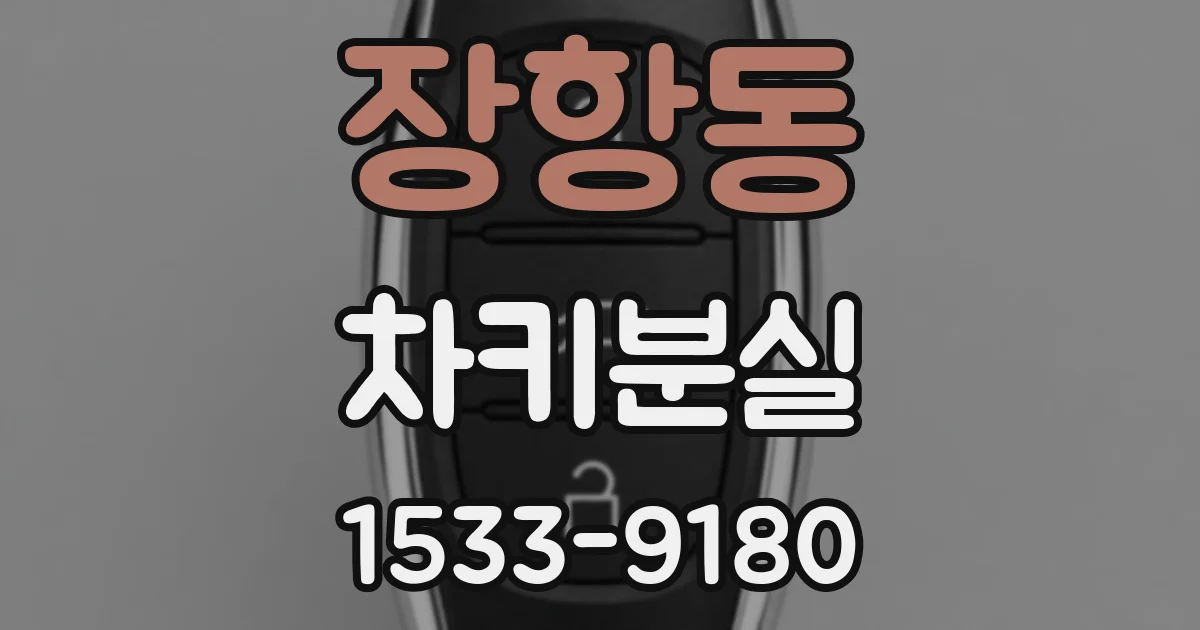 장항동 차키분실