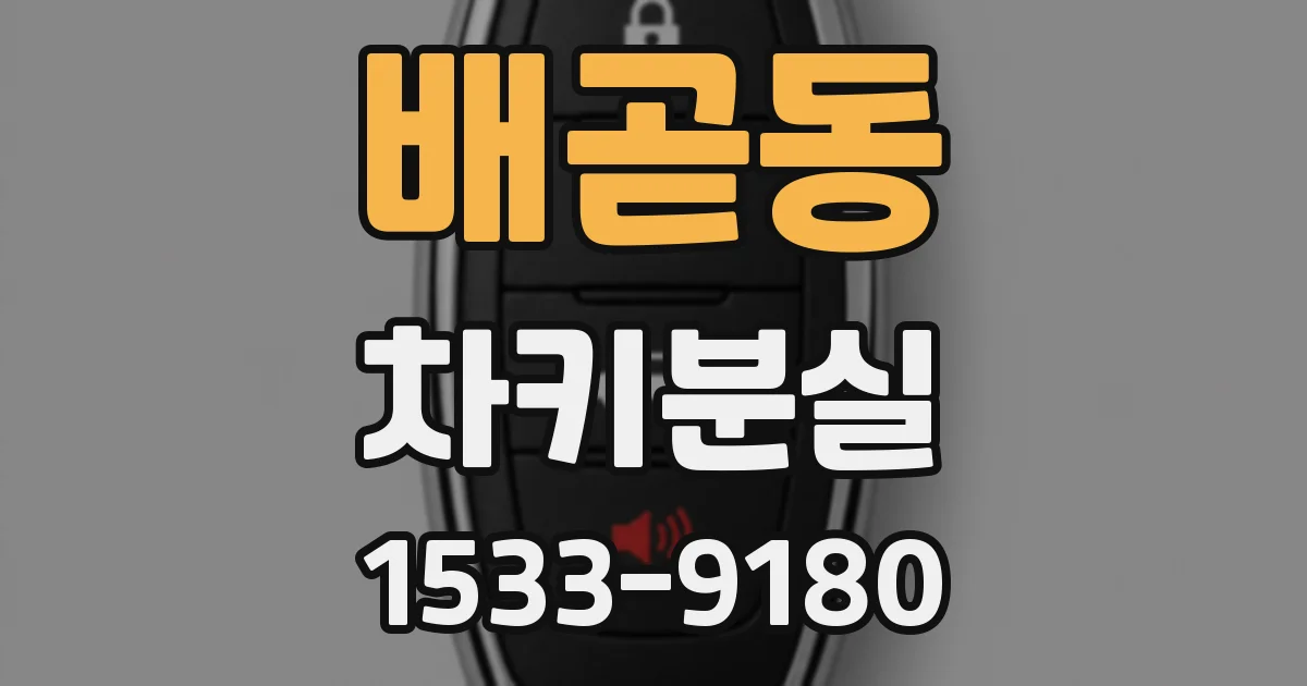 배곧동 차키분실