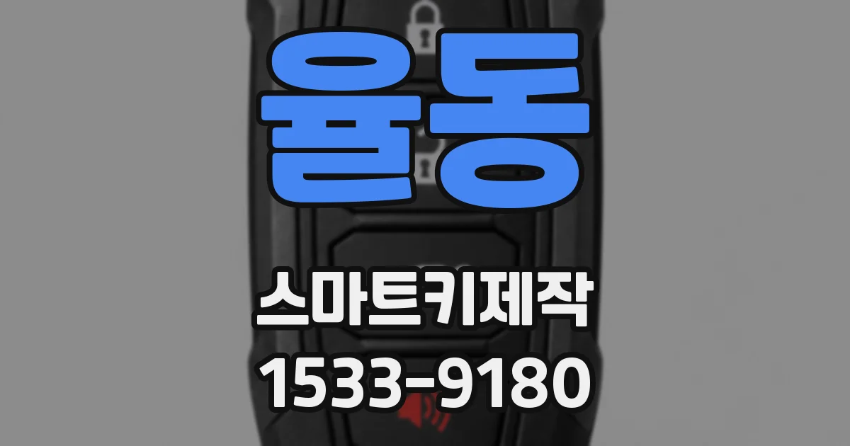 율동 스마트키제작