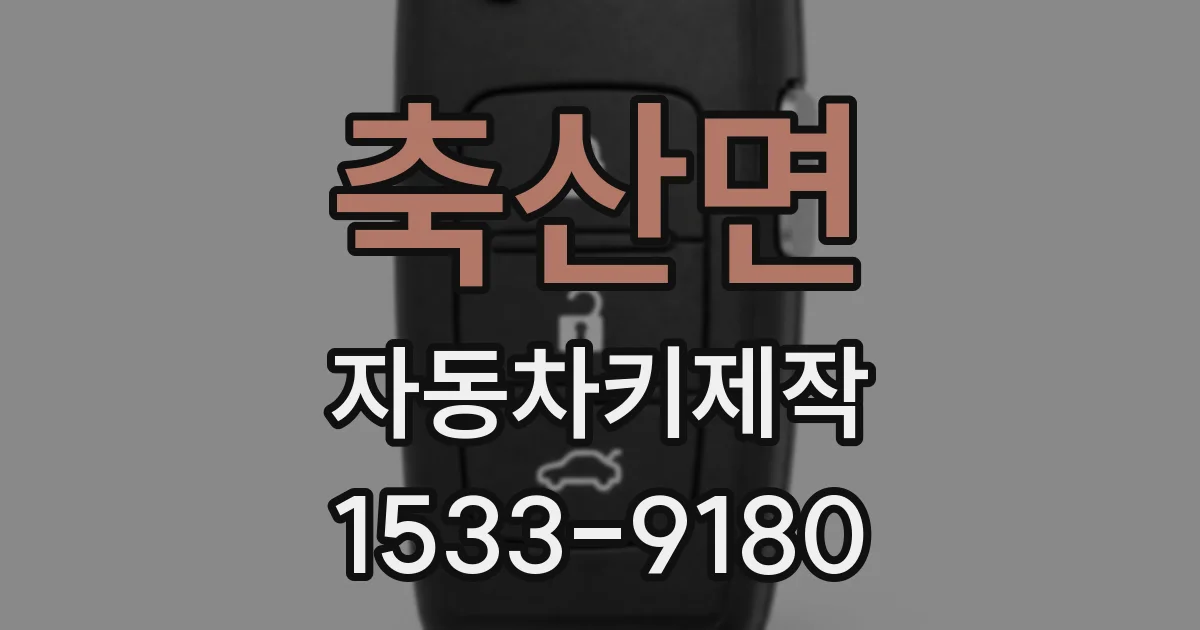 축산면 자동차키제작