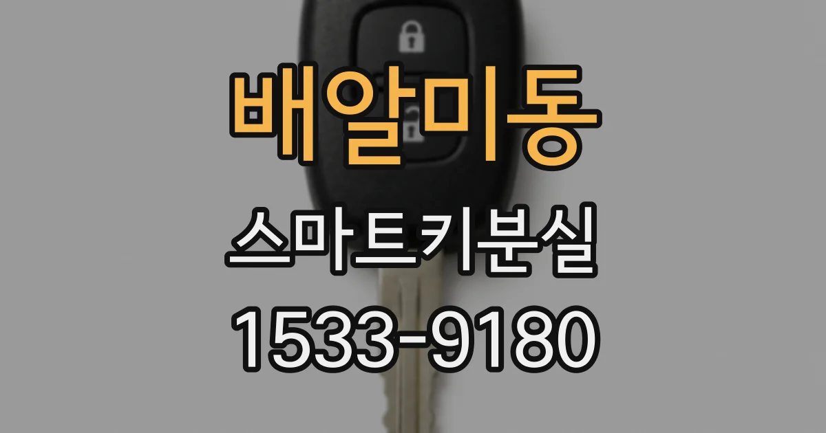 배알미동 스마트키분실