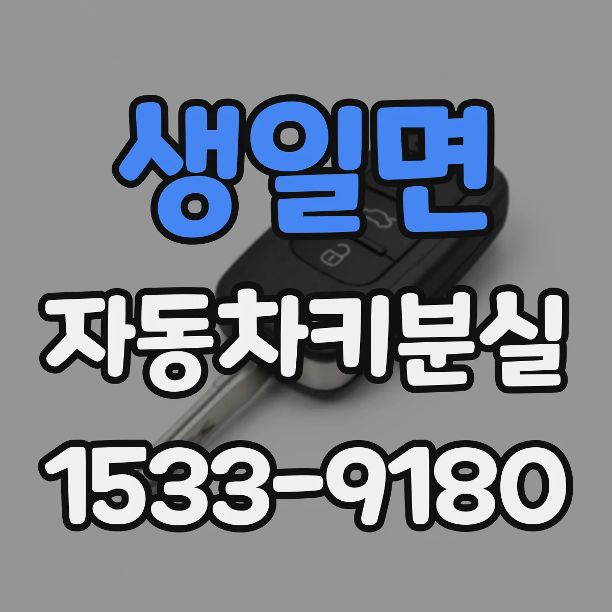 생일면 자동차키분실