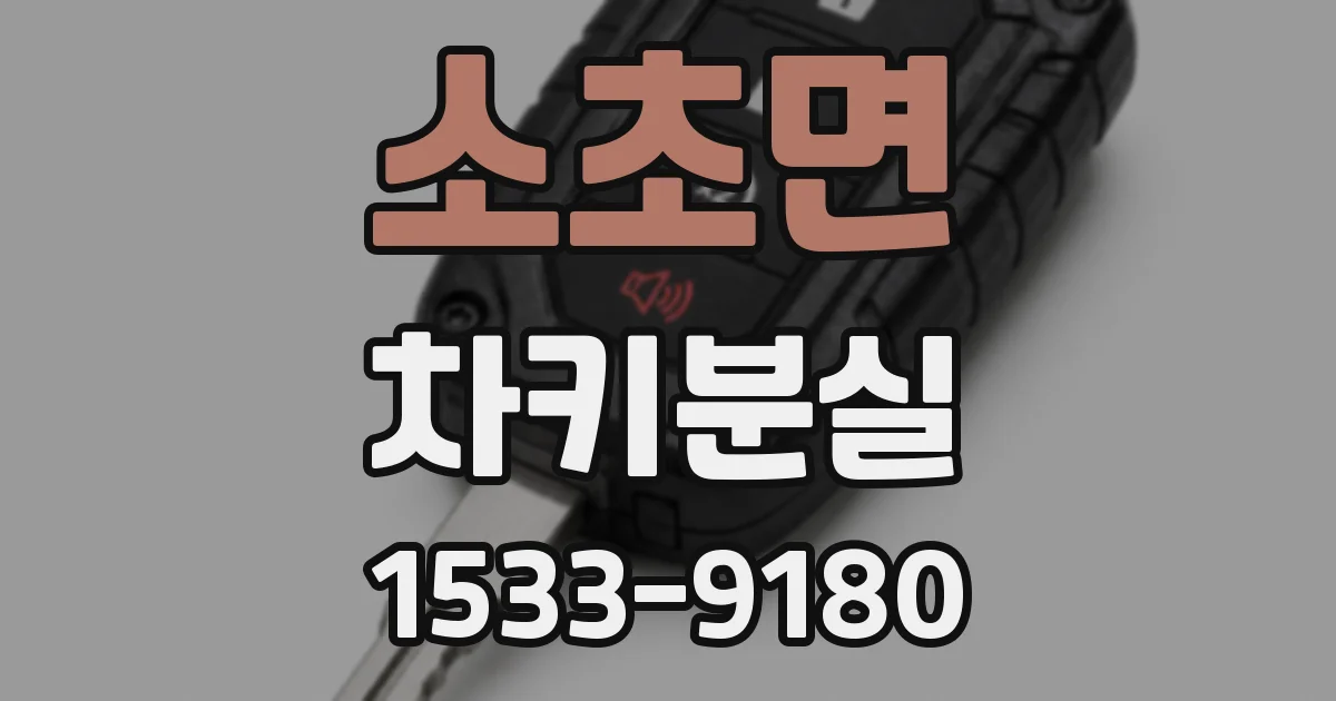 소초면 차키분실