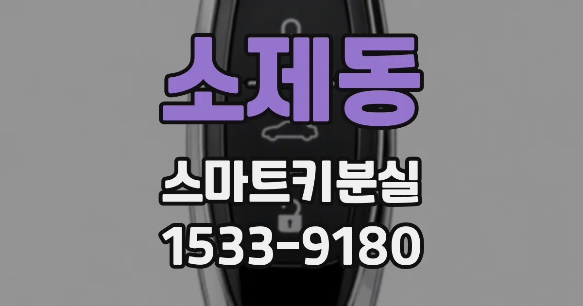 소제동 스마트키분실