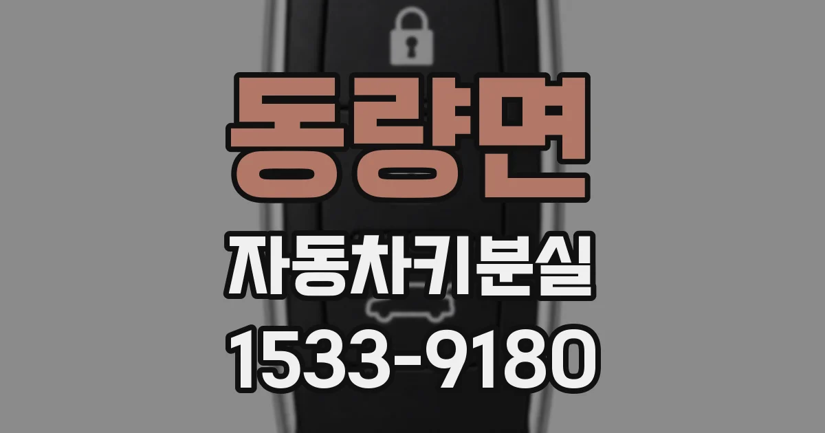 동량면 자동차키분실