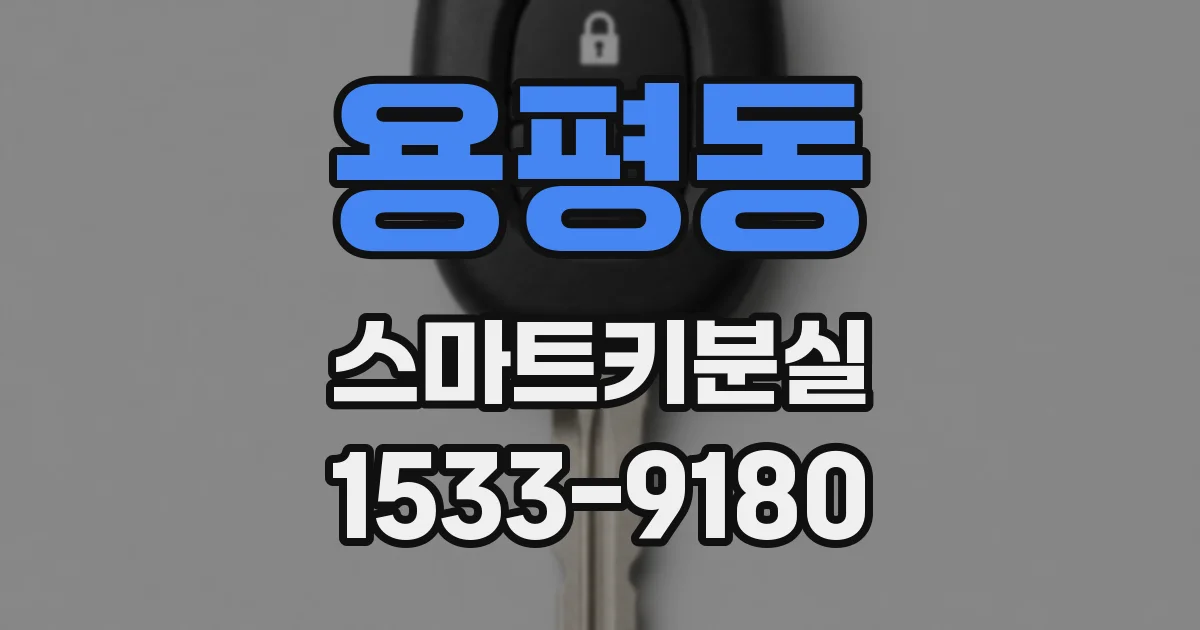 용평동 스마트키분실