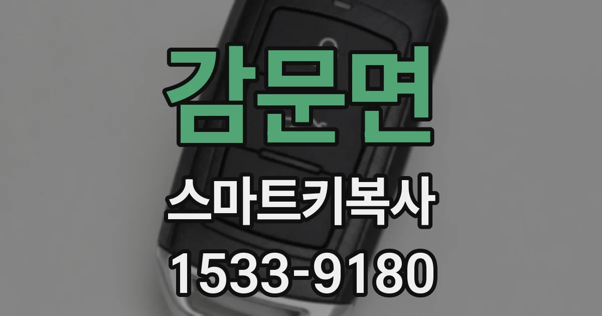 감문면 스마트키복사