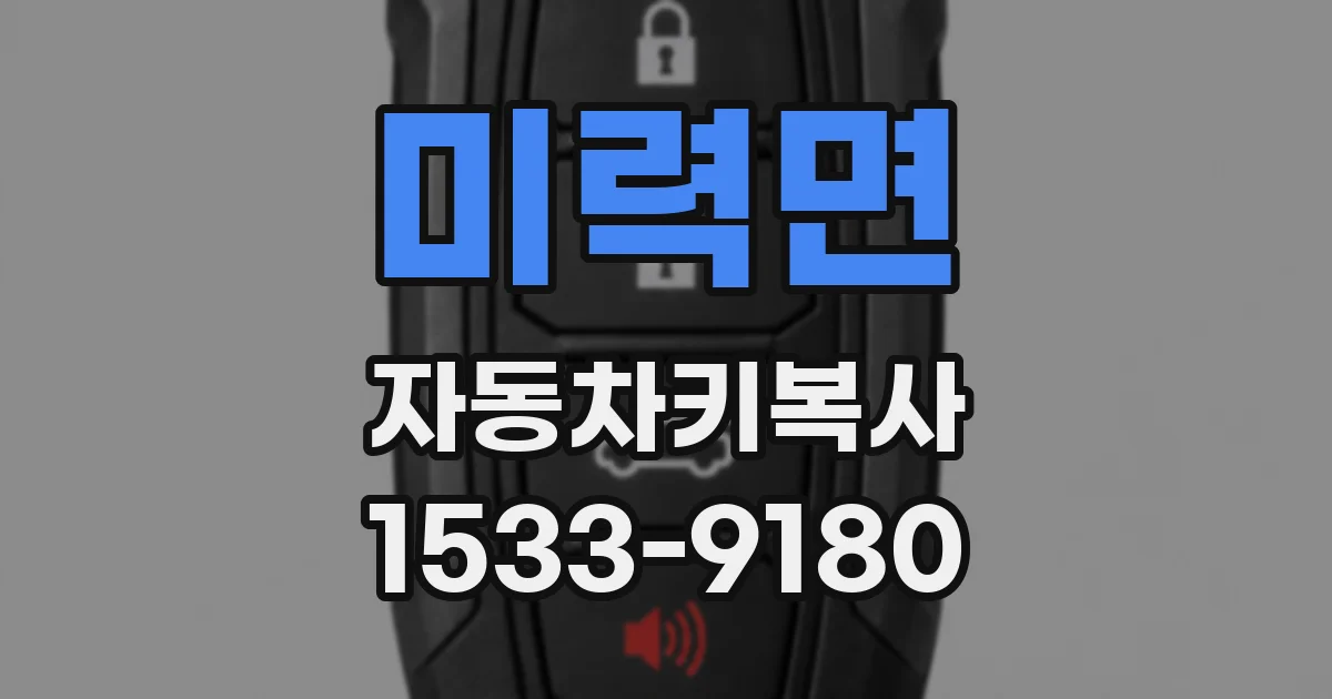 미력면 자동차키복사