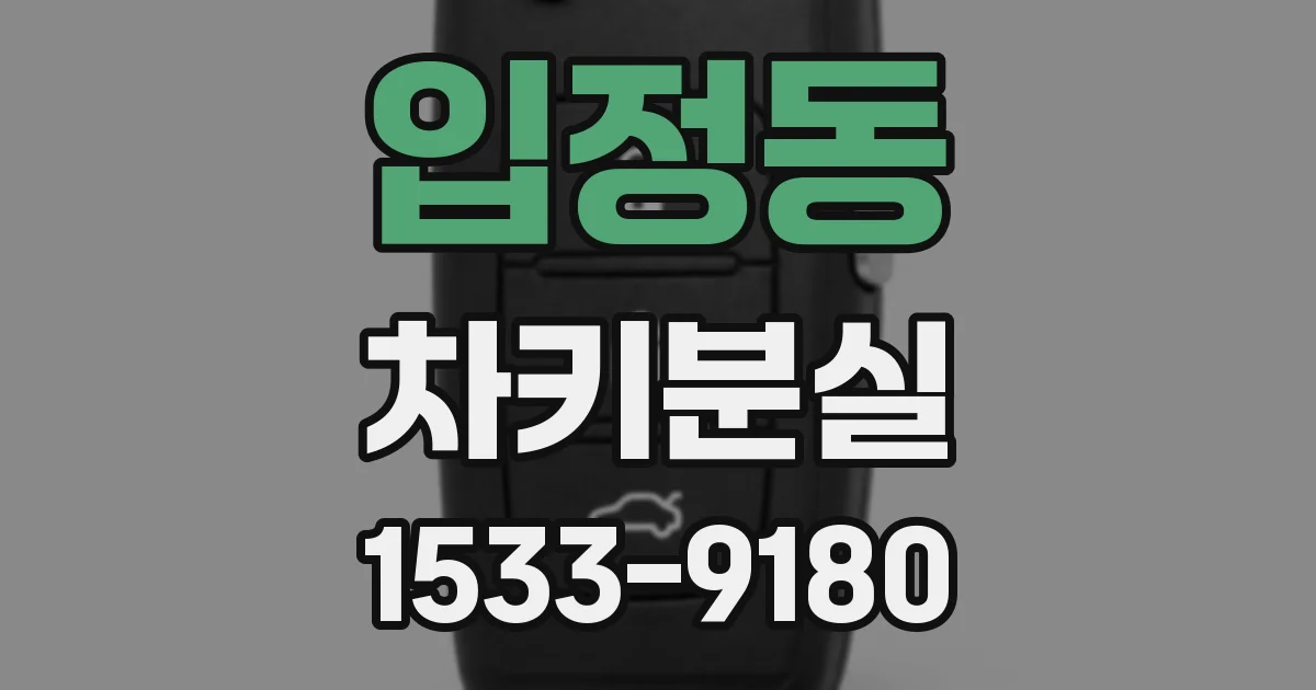 입정동 차키분실
