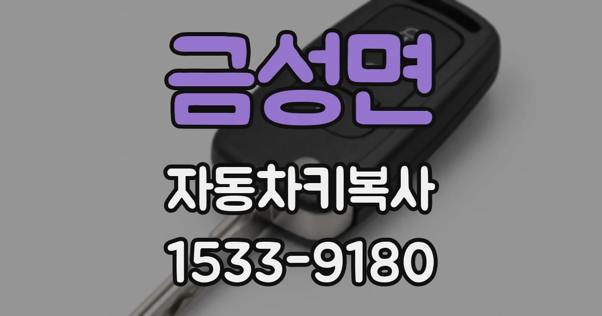 금성면 자동차키복사