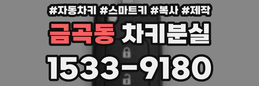 금곡동 차키분실