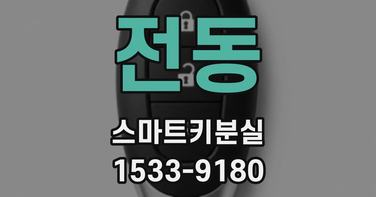 전동 스마트키분실