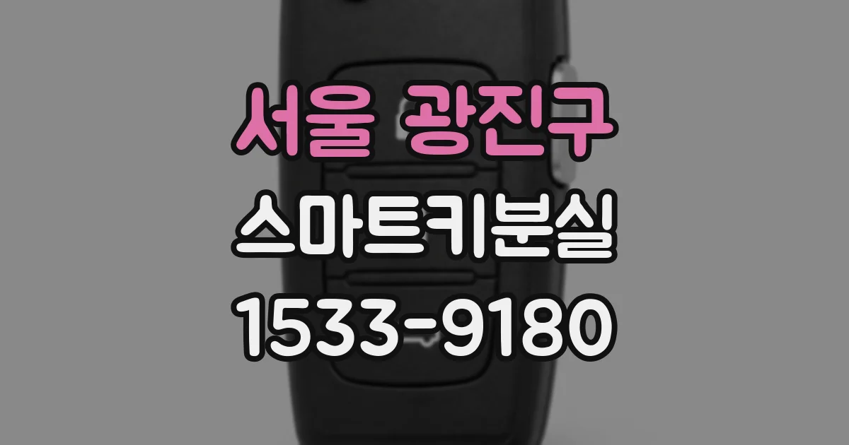 서울 광진구 스마트키분실