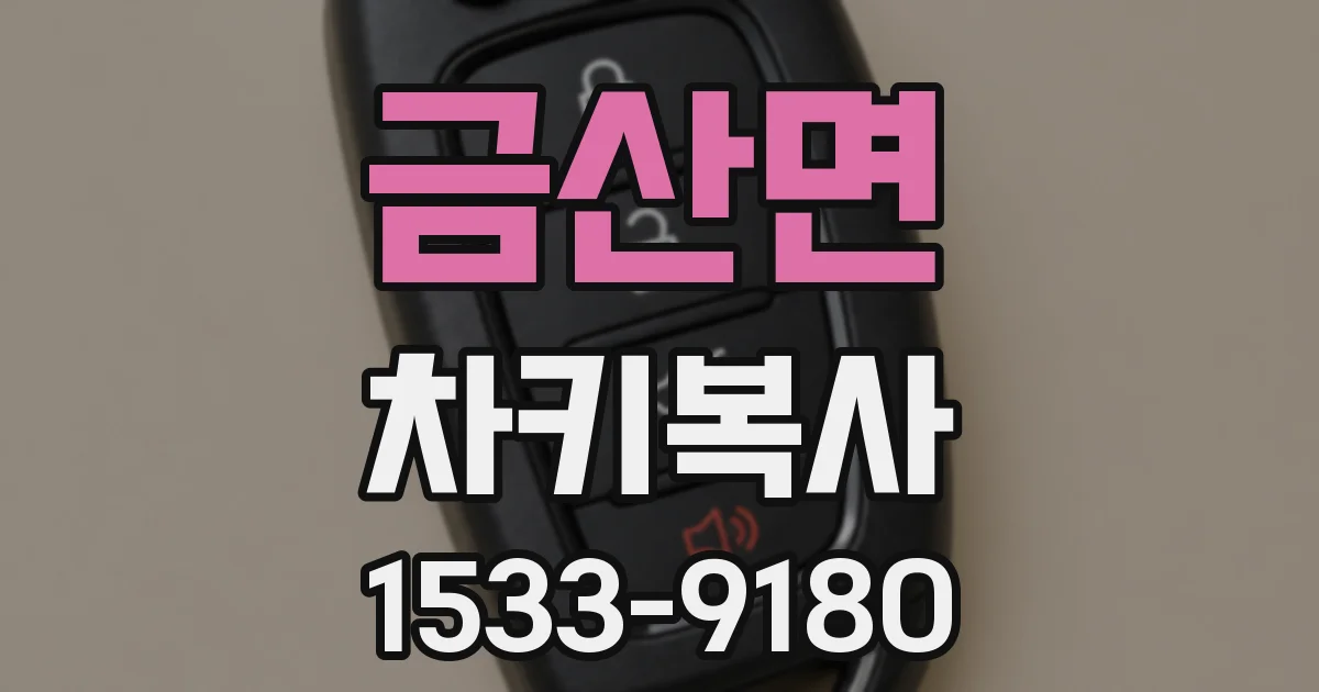 금산면 차키복사