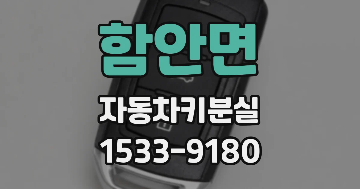 함안면 자동차키분실