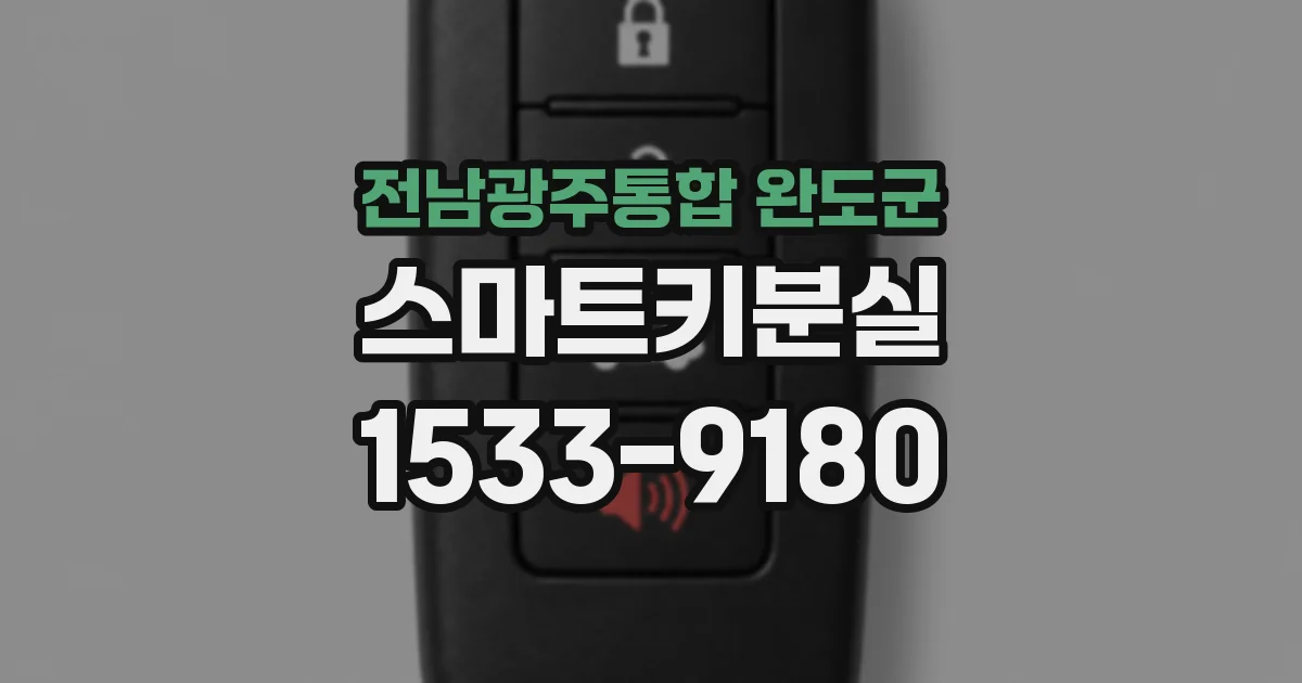 전남광주통합 완도군 스마트키분실