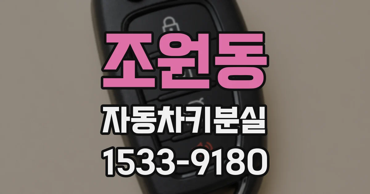 조원동 자동차키분실