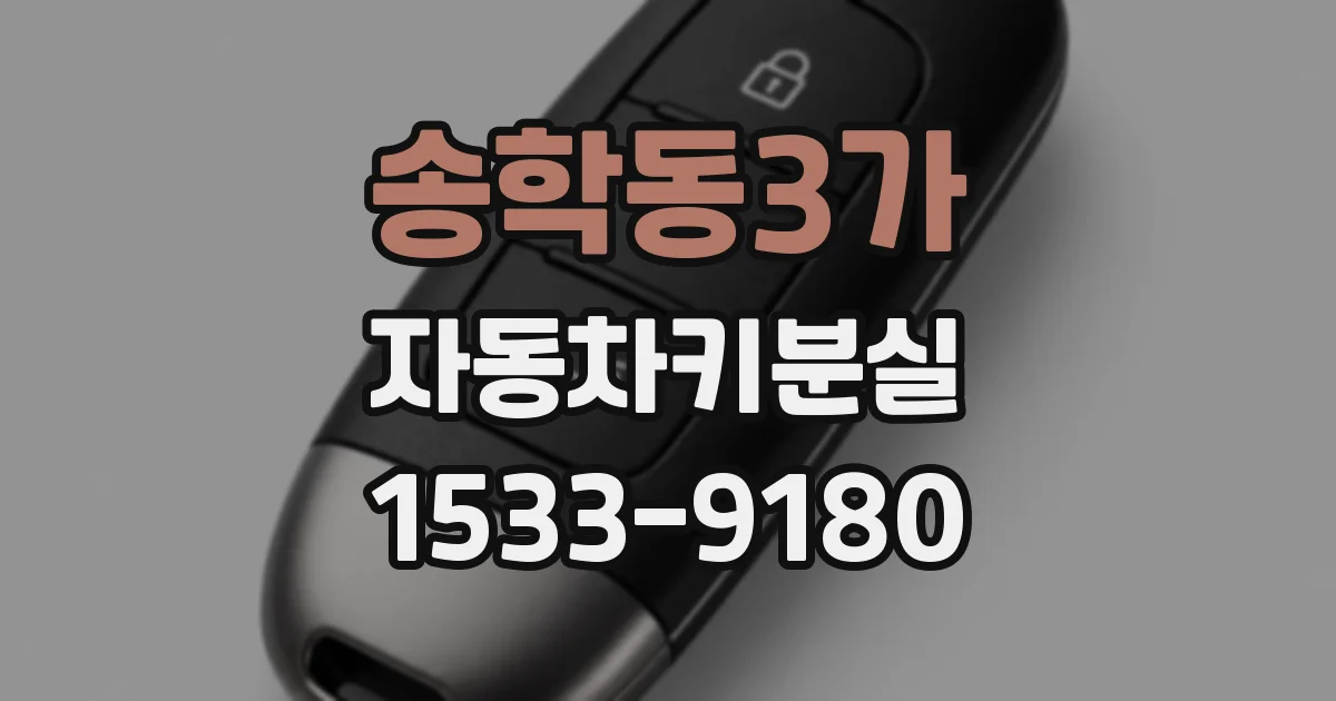 송학동3가 자동차키분실