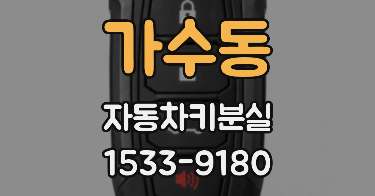 가수동 자동차키분실