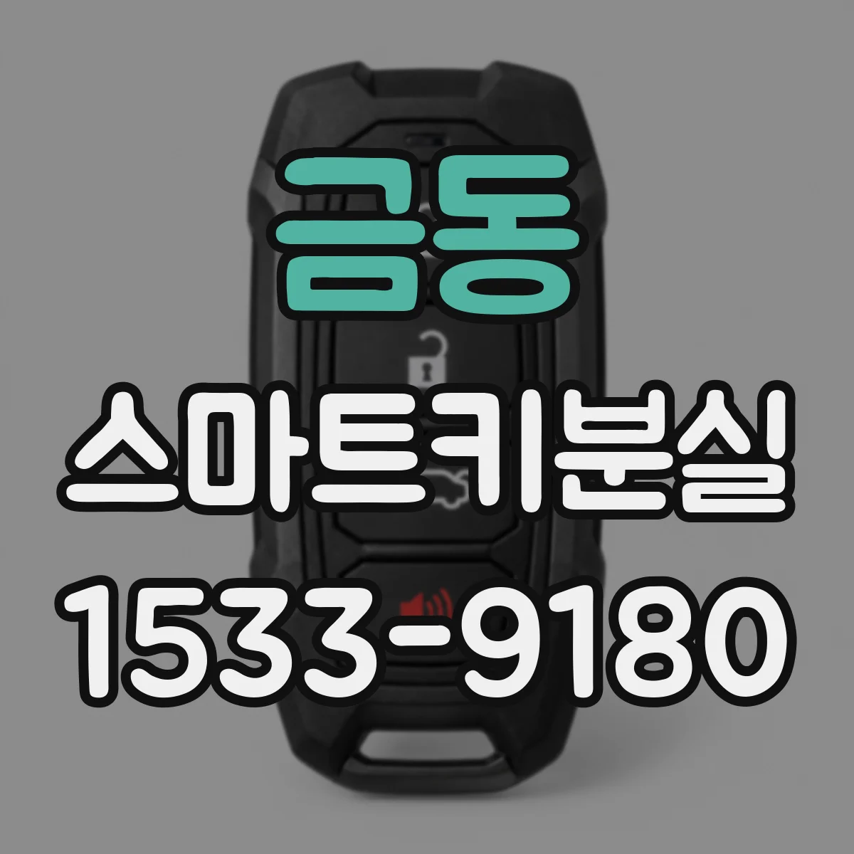 금동 스마트키분실