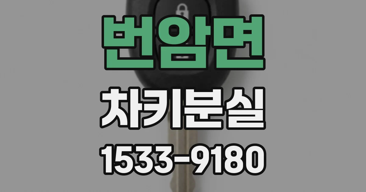 번암면 차키분실