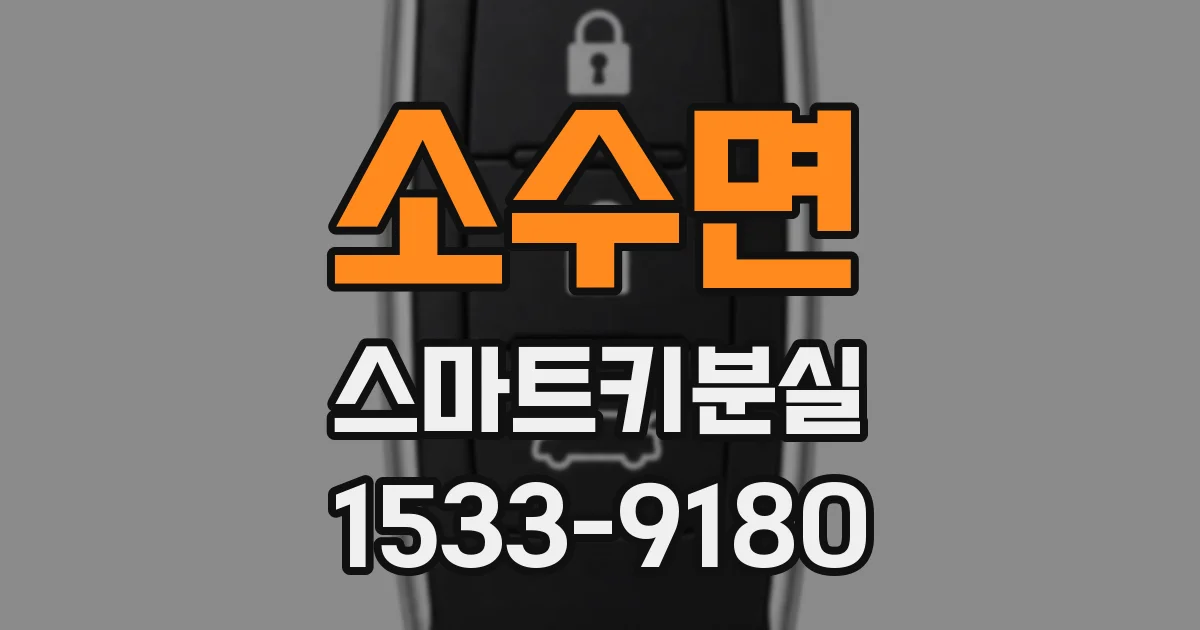 소수면 스마트키분실