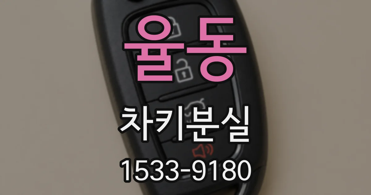 율동 차키분실