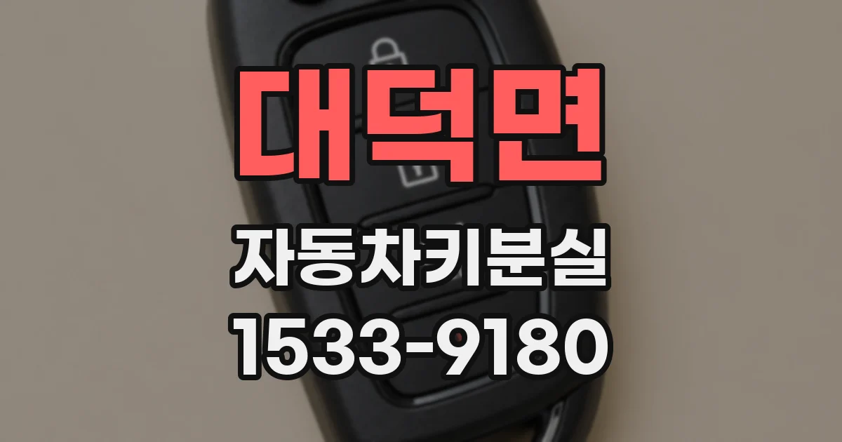대덕면 자동차키분실