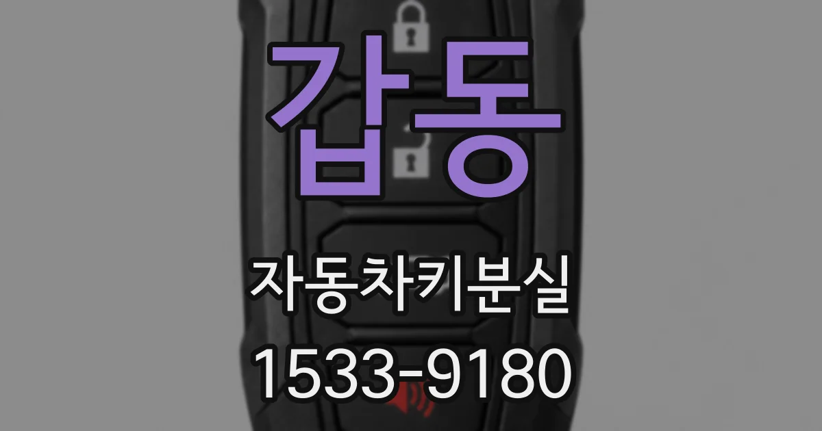 갑동 자동차키분실