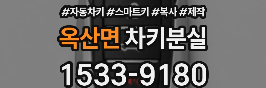옥산면 차키분실