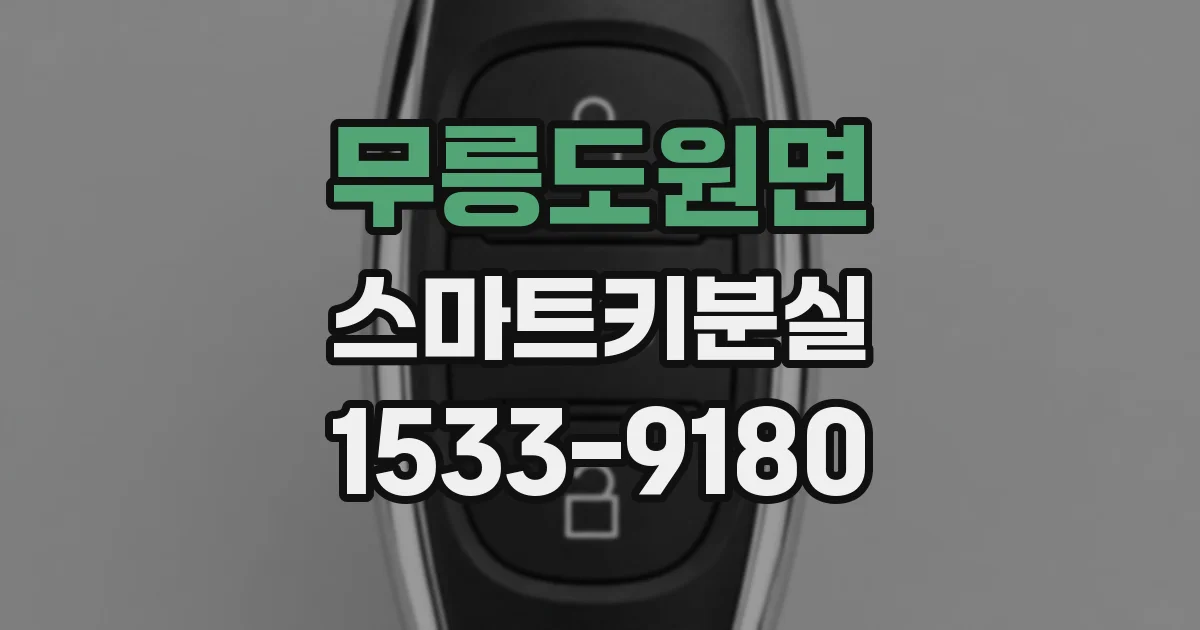 무릉도원면 스마트키분실