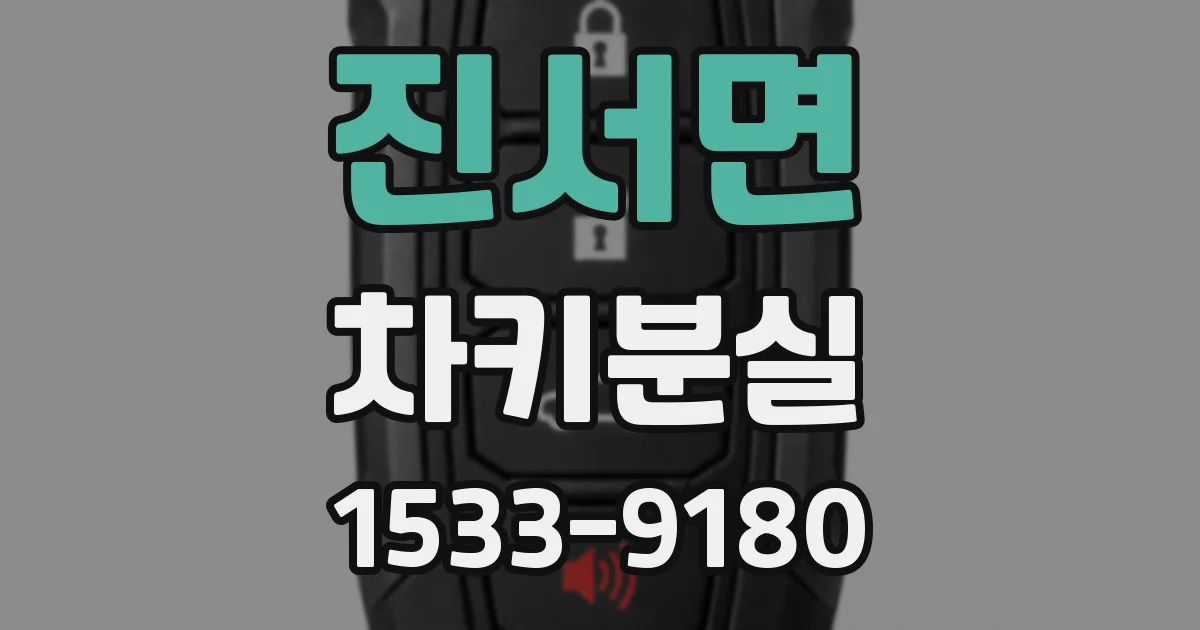 진서면 차키분실