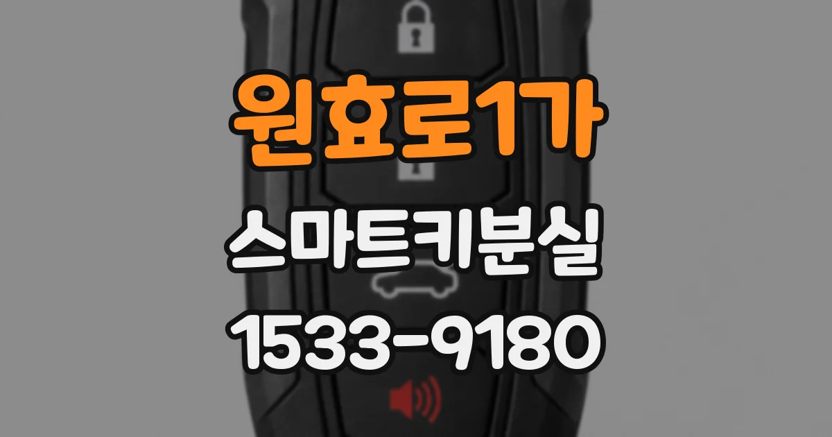원효로1가 스마트키분실