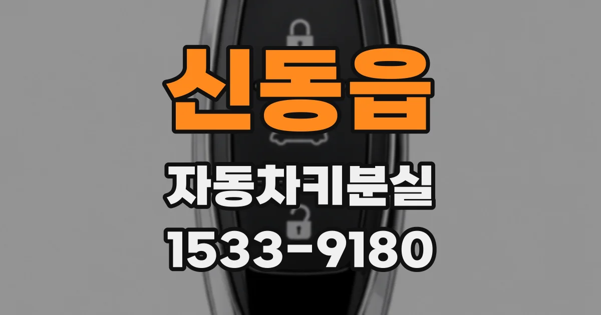 신동읍 자동차키분실