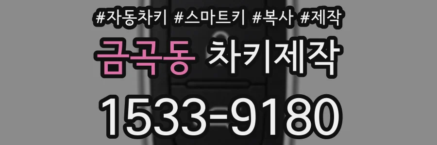 금곡동 차키제작