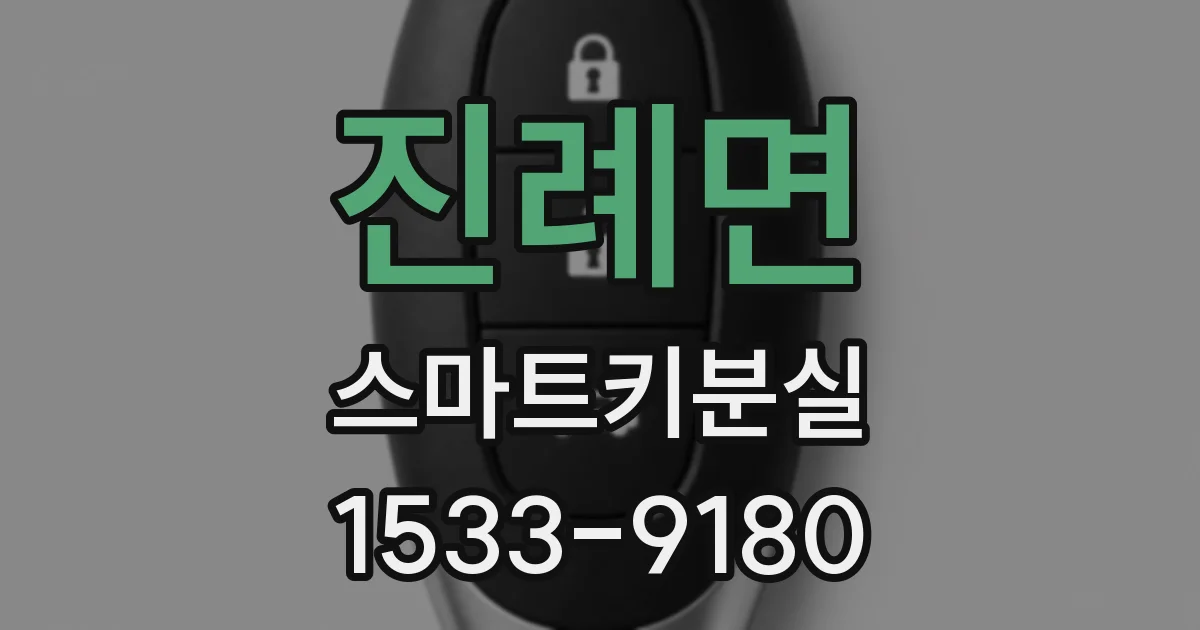 진례면 스마트키분실