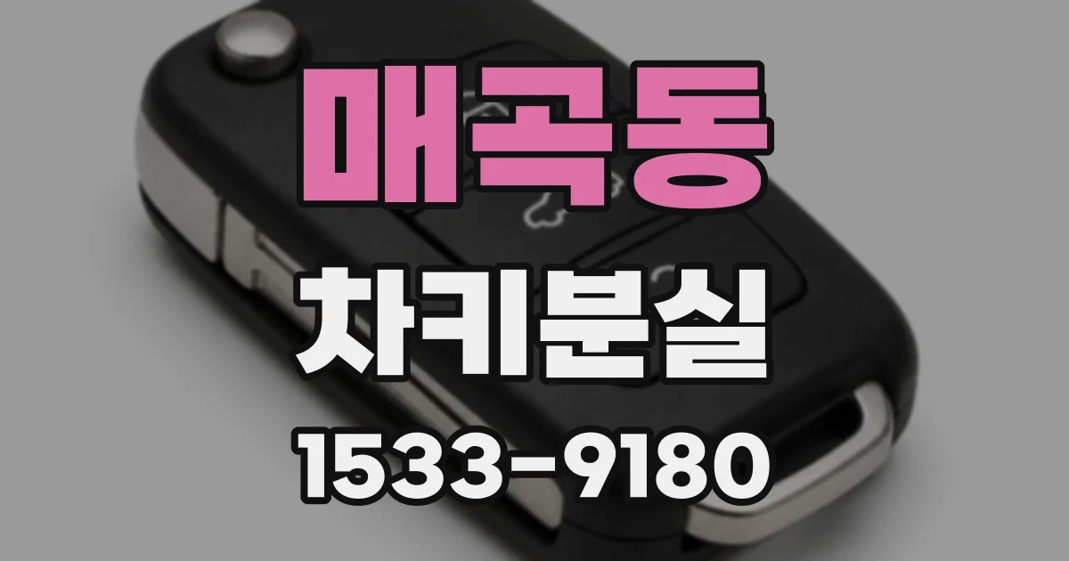 매곡동 차키분실