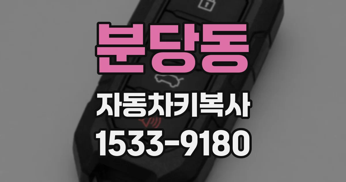 분당동 자동차키복사