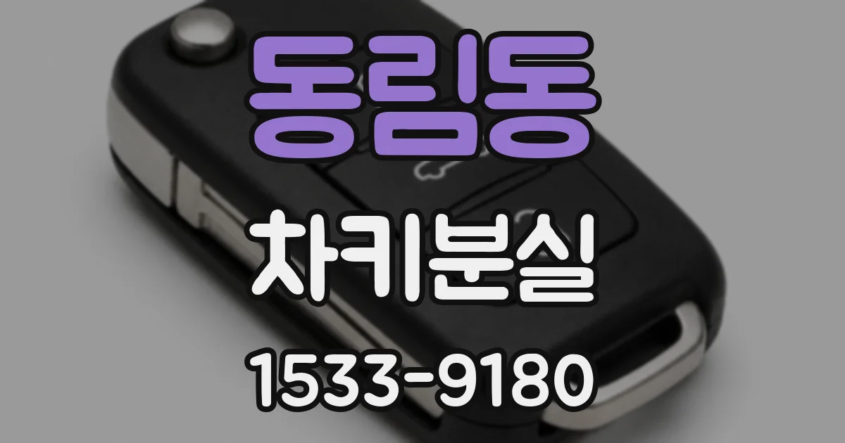 동림동 차키분실