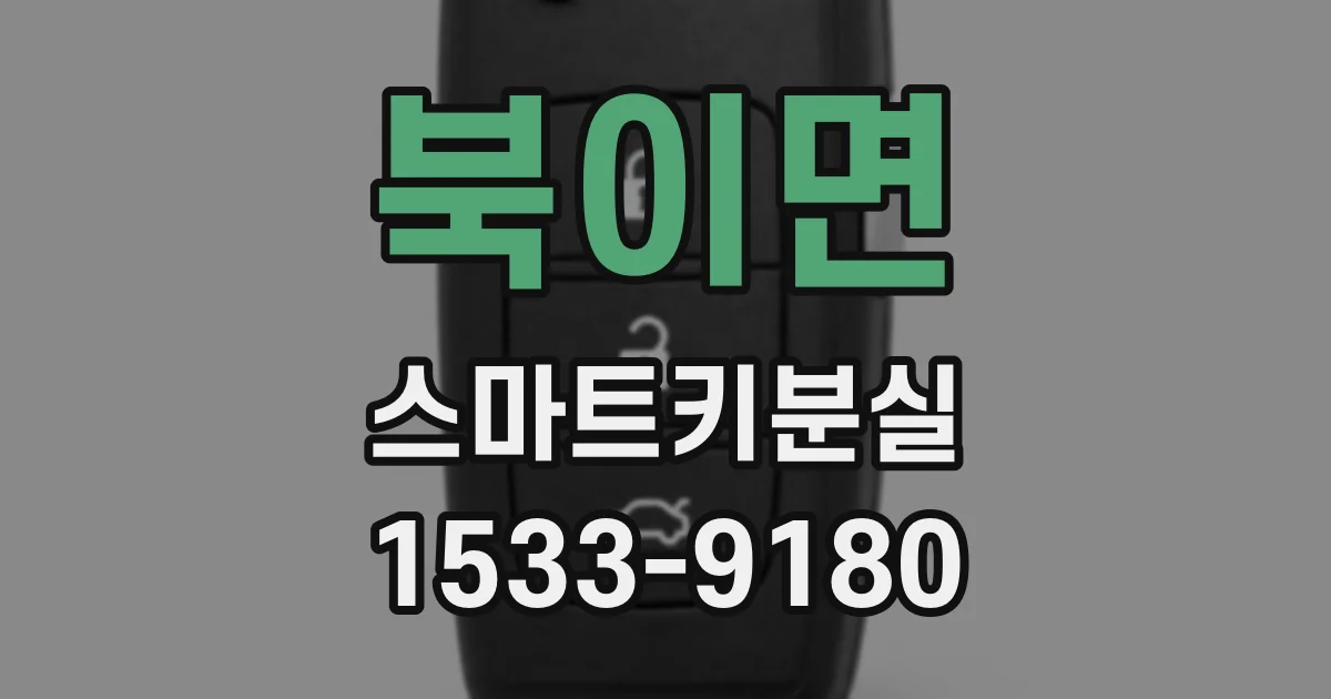 북이면 스마트키분실