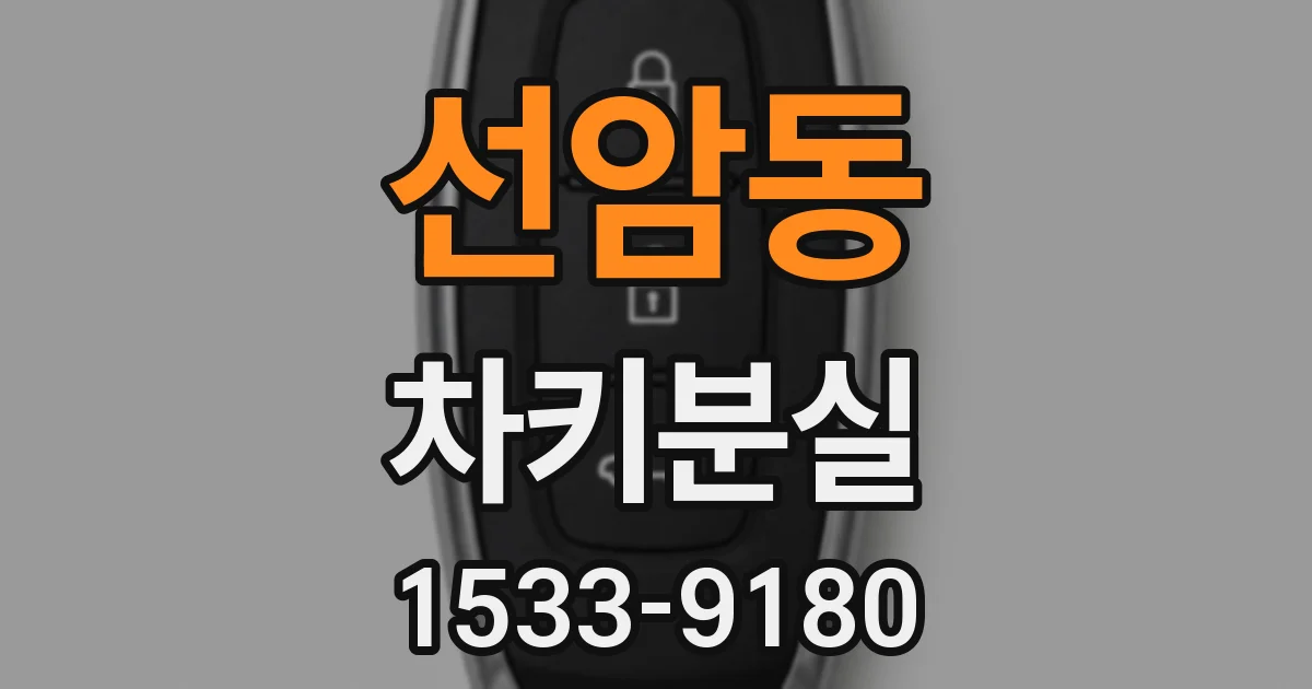 선암동 차키분실