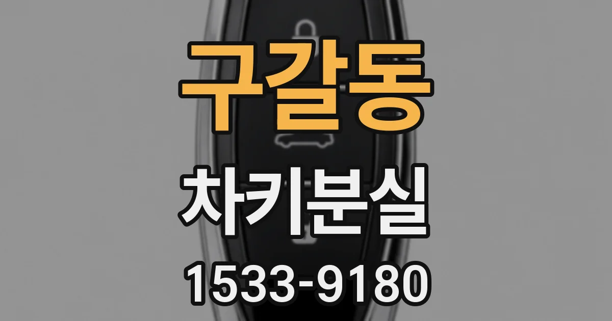 구갈동 차키분실