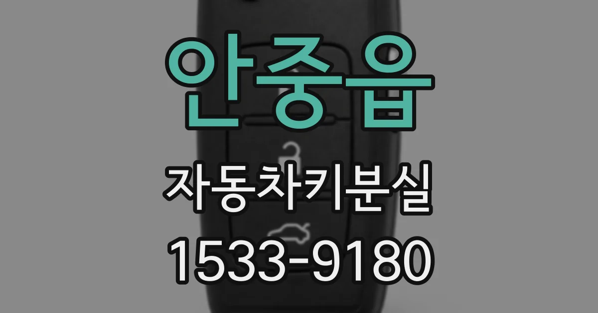 안중읍 자동차키분실