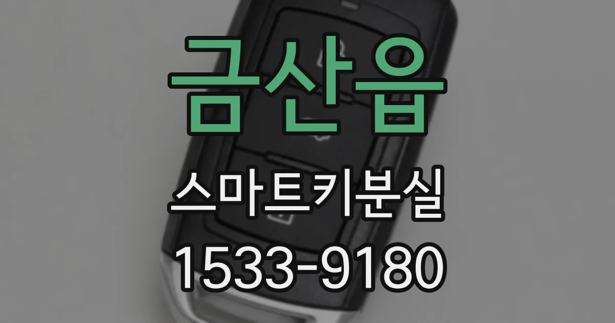 금산읍 스마트키분실