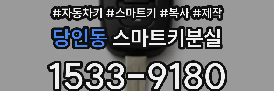 당인동 스마트키분실