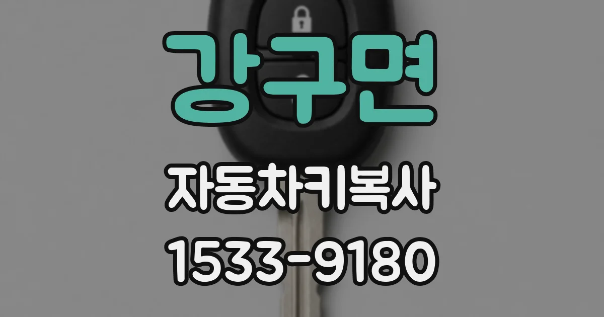 강구면 자동차키복사