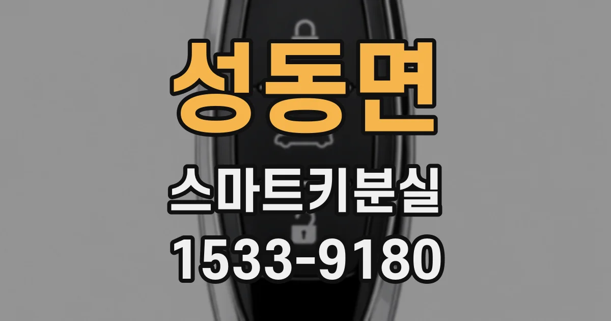 성동면 스마트키분실