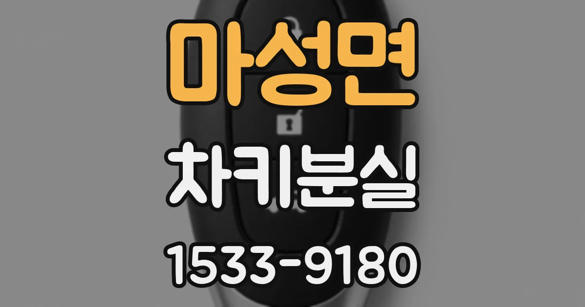 마성면 차키분실
